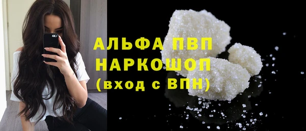 стаф Аркадак