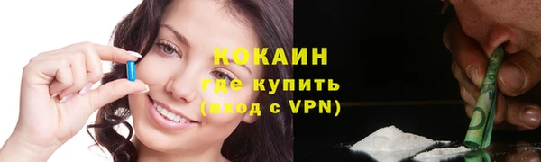 стаф Аркадак