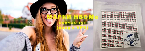 стаф Аркадак
