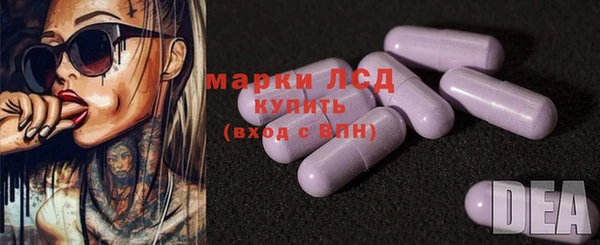 стаф Аркадак