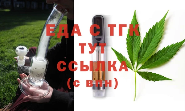 стаф Аркадак
