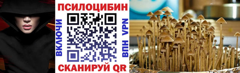 блэк спрут рабочий сайт  Калач  Псилоцибиновые грибы Cubensis  где продают наркотики 